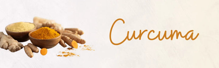 Entdecken Sie die Heilkraft von Curcuma: Mehr als nur ein Gewürz