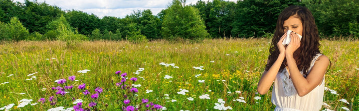 Wie entsteht eine Allergie