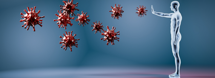 Wie funktioniert das Immunsystem?