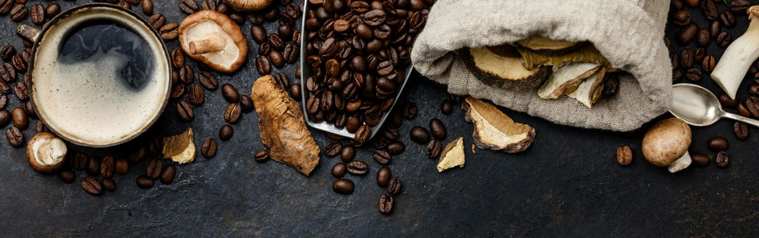 Mushroom Coffee wirklich eine Alternative?