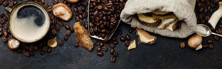 Mushroom Coffee wirklich eine Alternative?