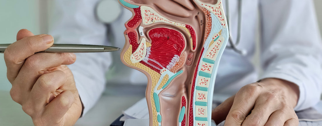 Laryngitis - Kehlkopfentzündung