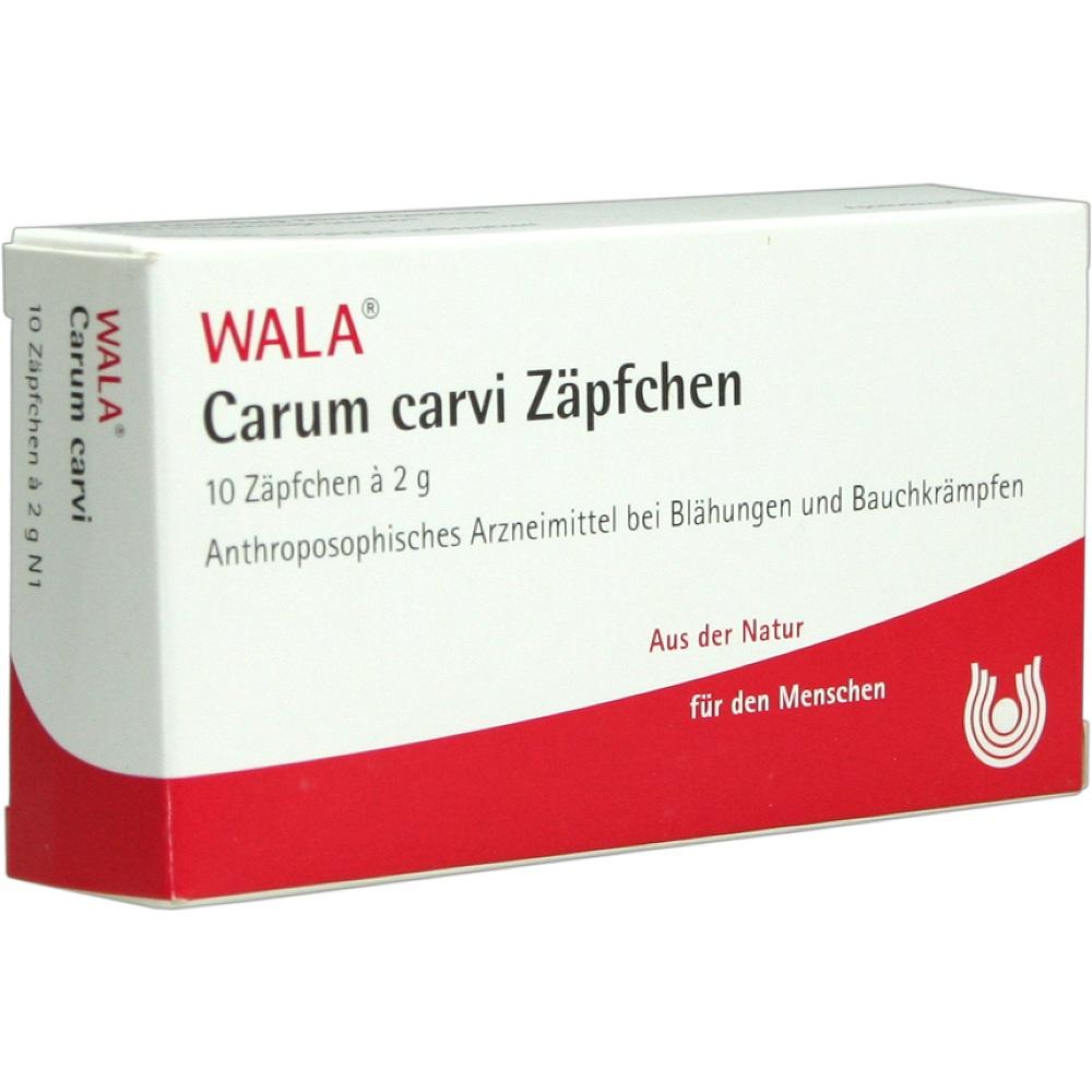 Carum carvi Zäpfchen